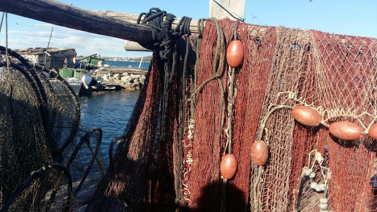 La Cabane D'Isa Сет Екстериор снимка